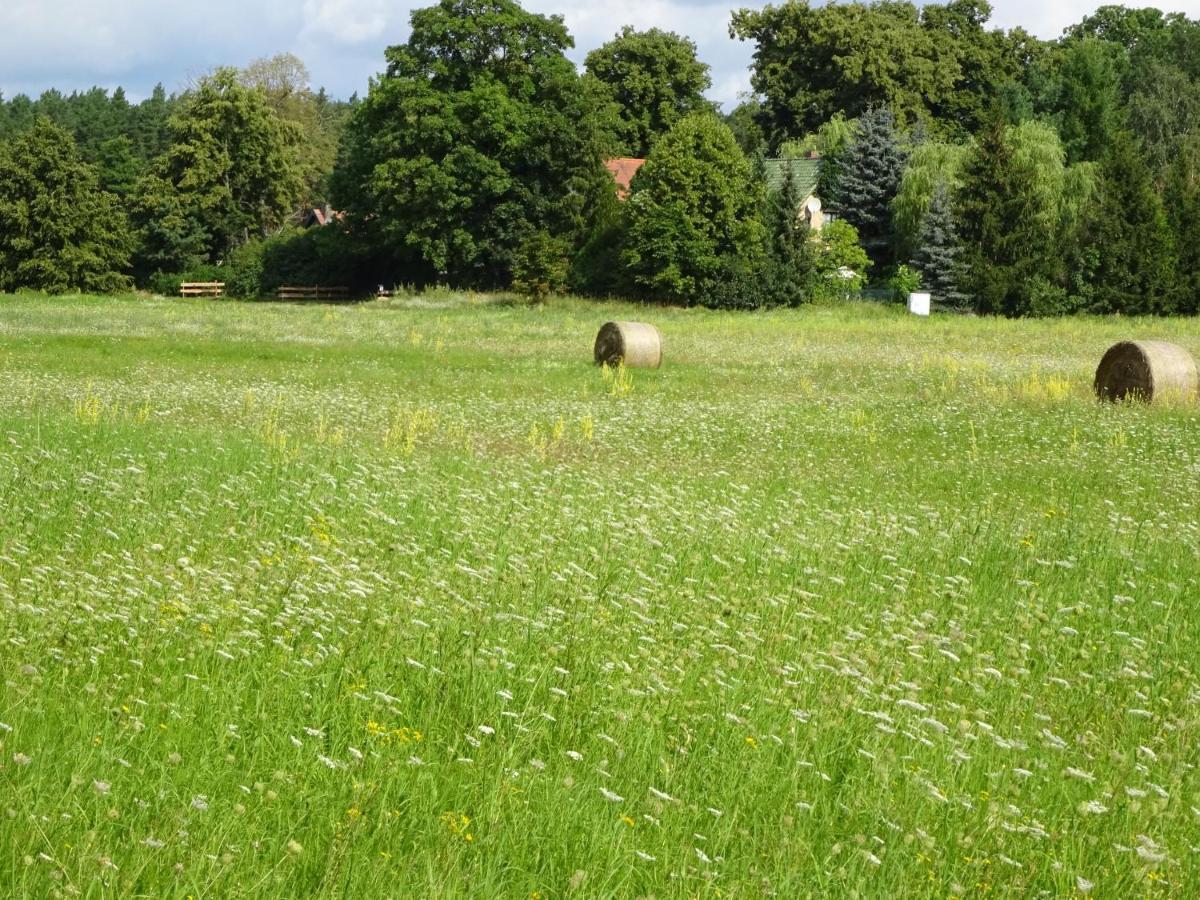 Ferienanlage Waschbaer Country Templin Luaran gambar