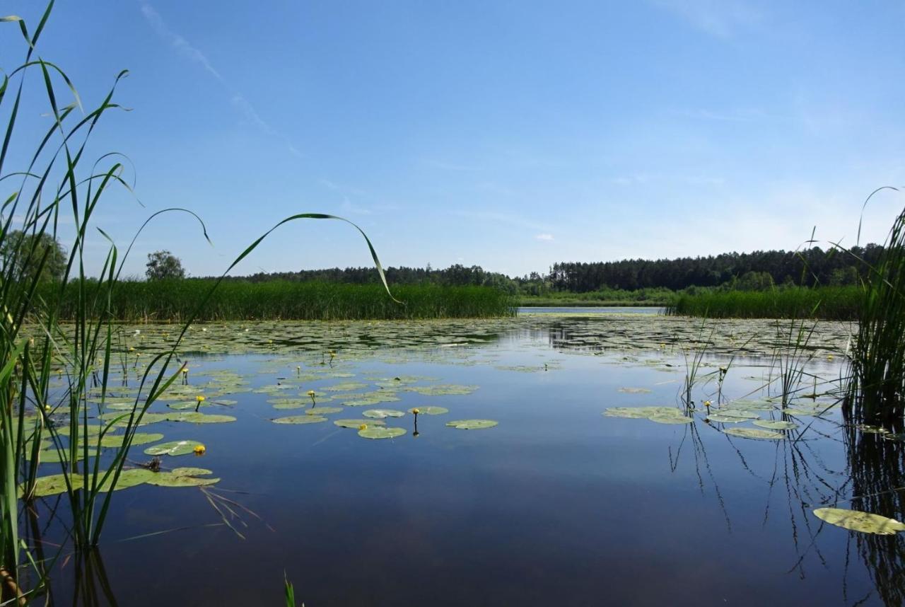 Ferienanlage Waschbaer Country Templin Luaran gambar