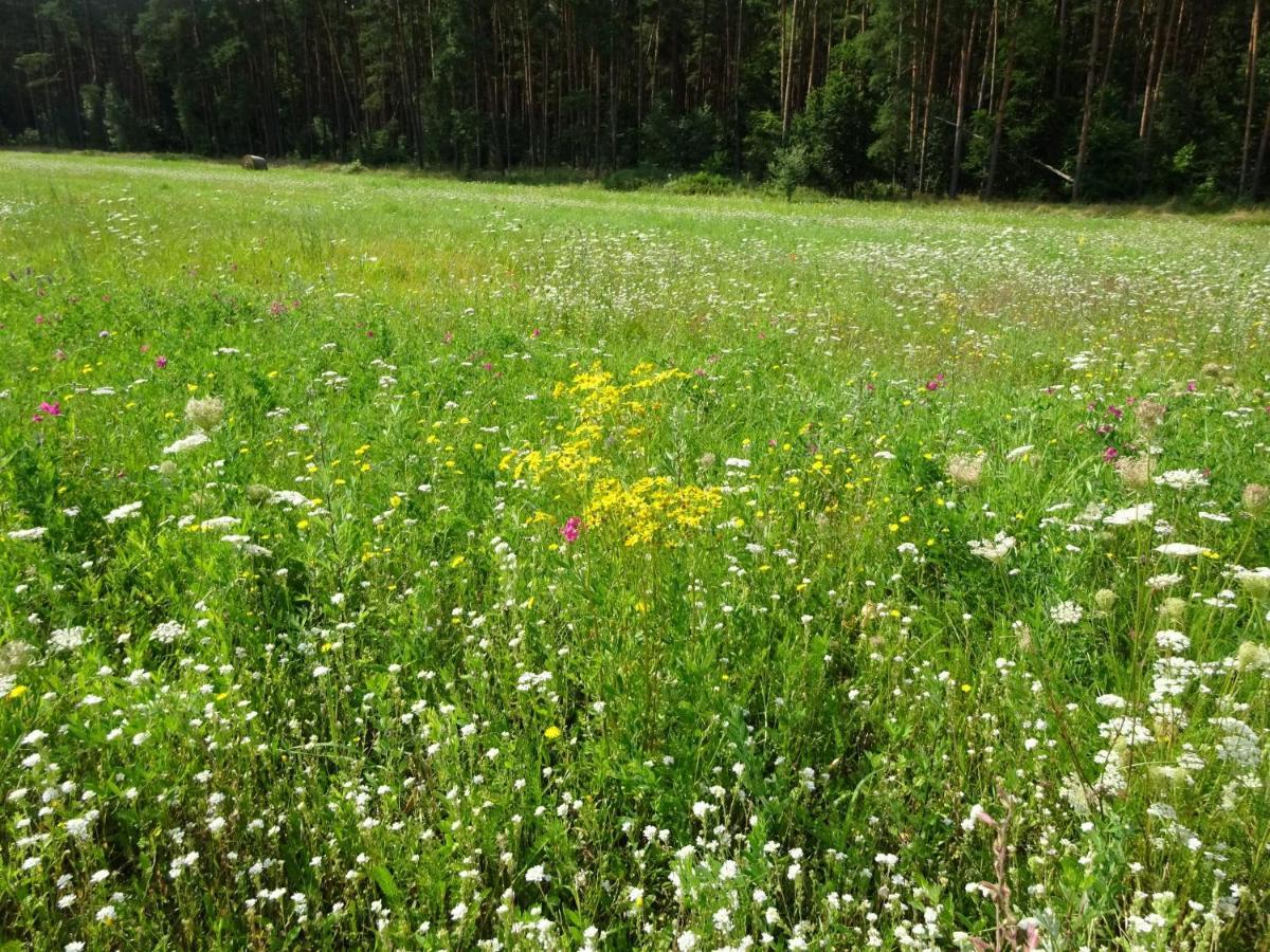 Ferienanlage Waschbaer Country Templin Luaran gambar