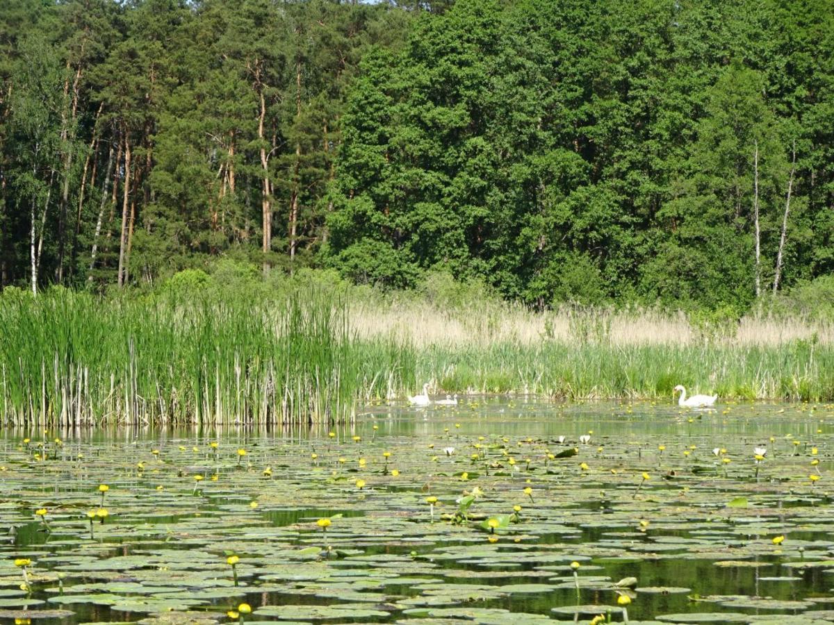 Ferienanlage Waschbaer Country Templin Luaran gambar