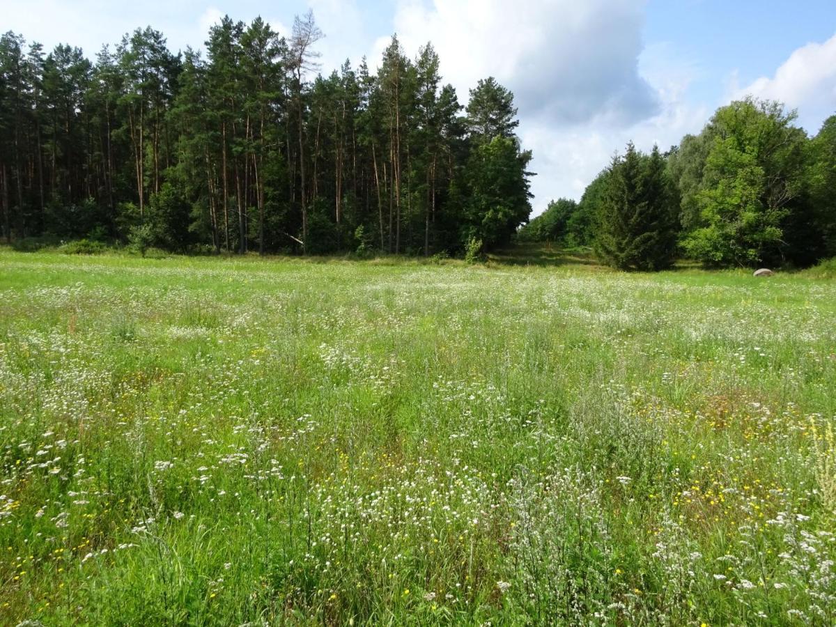 Ferienanlage Waschbaer Country Templin Luaran gambar